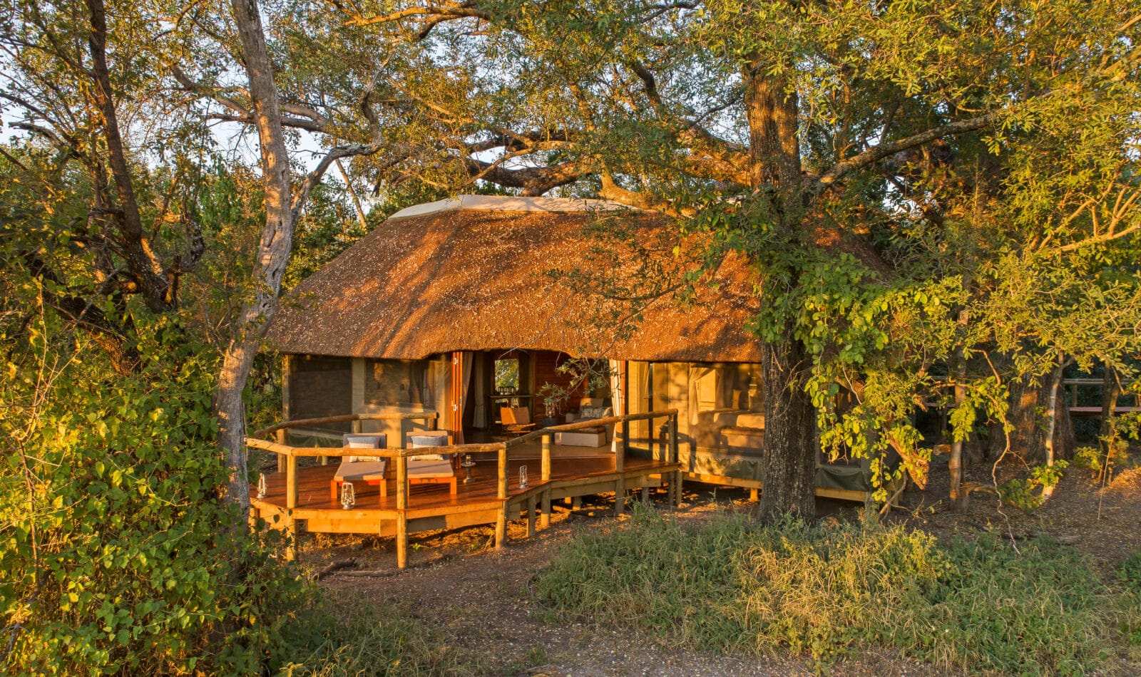 Camp Moremi - PTLG : Bespoke & Curated Travels!