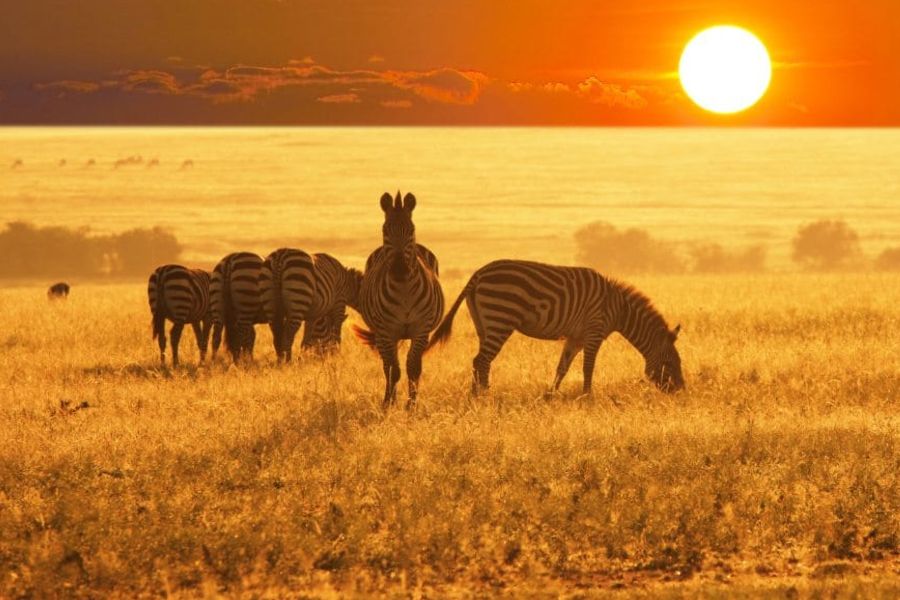 Etosha National Park