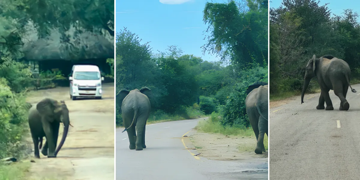 Zimbabwe-with-Koncept-Africa-01