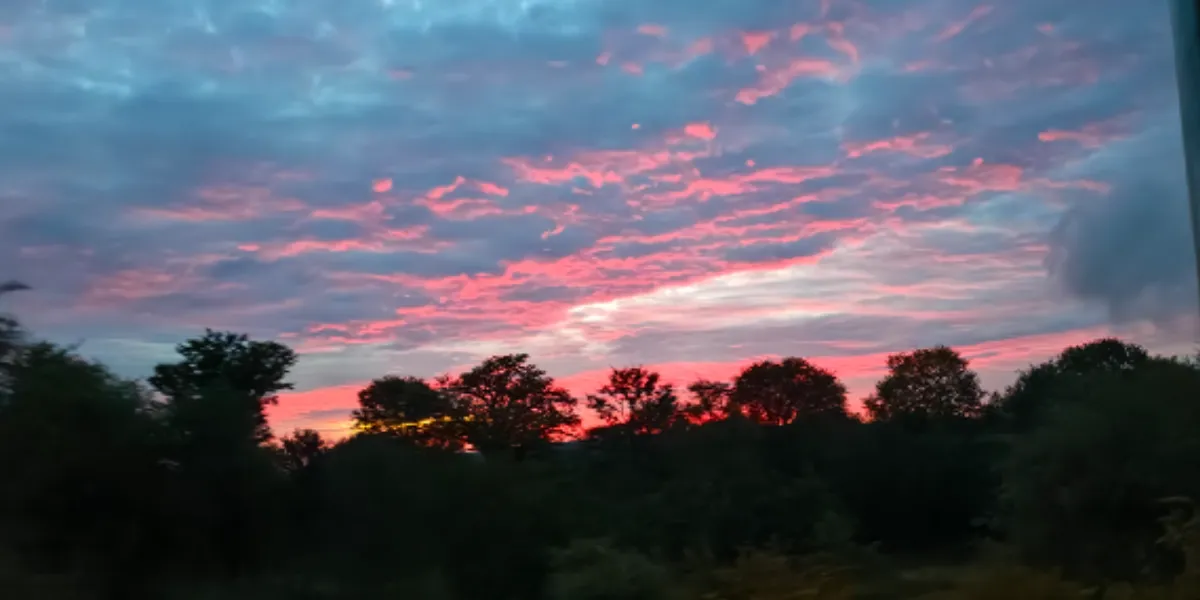 Zimbabwe-with-Koncept-Africa-05