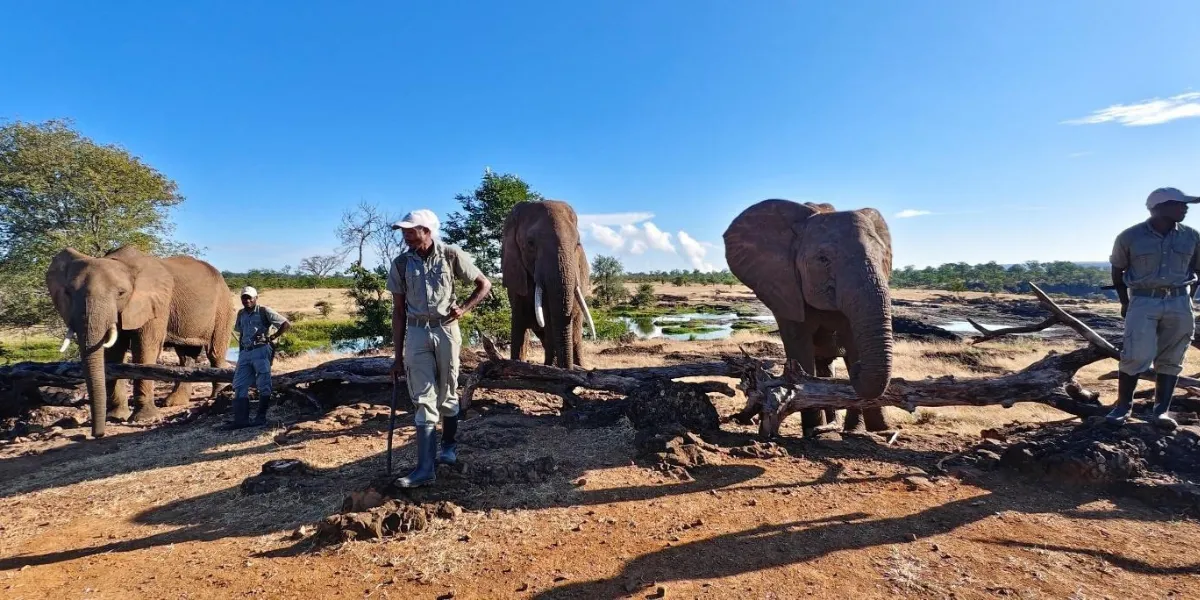 Zimbabwe-with-Koncept-Africa-09