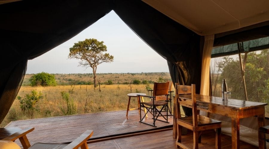 authentic safari experiences