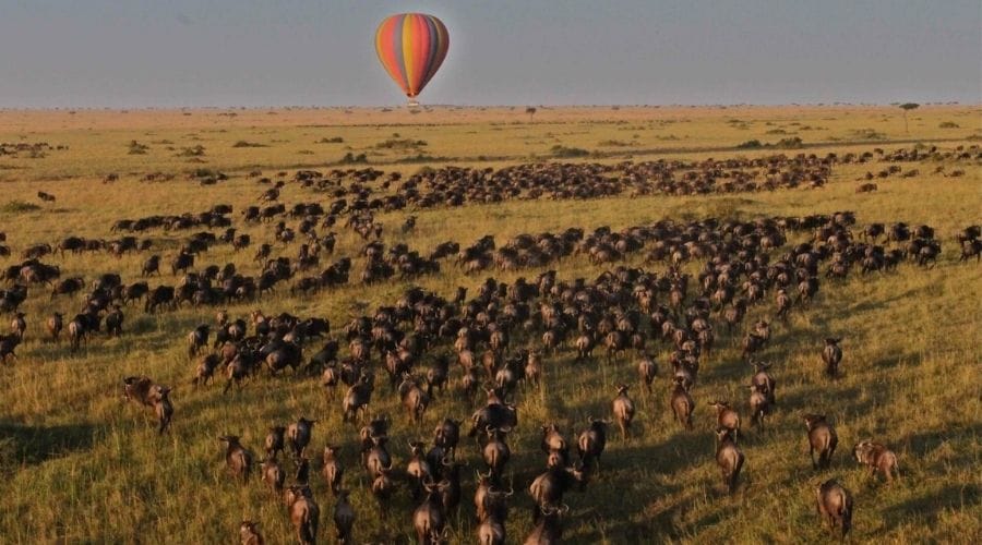 masai mara balloon