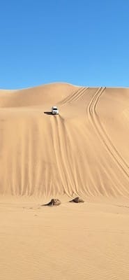 Desert-car-game