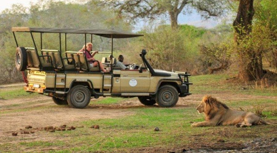 Game viewing in Lower Zambezi National Park