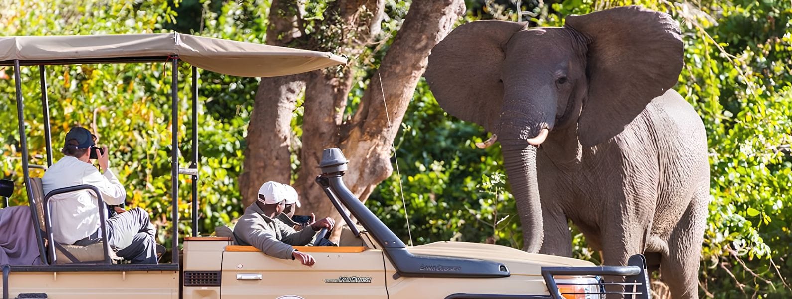 Royal Zambezi - Lower Zambezi