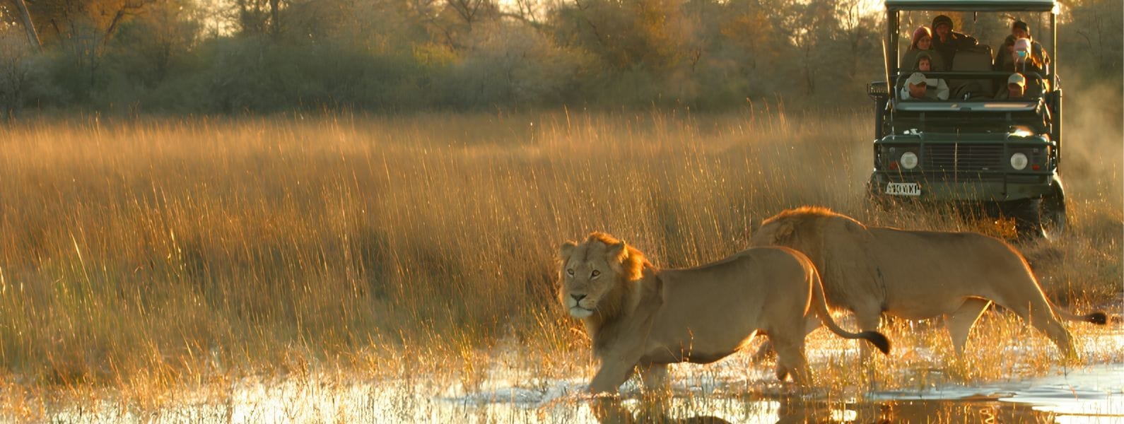 Safari Experiences Zambia, Kenya & Botswana